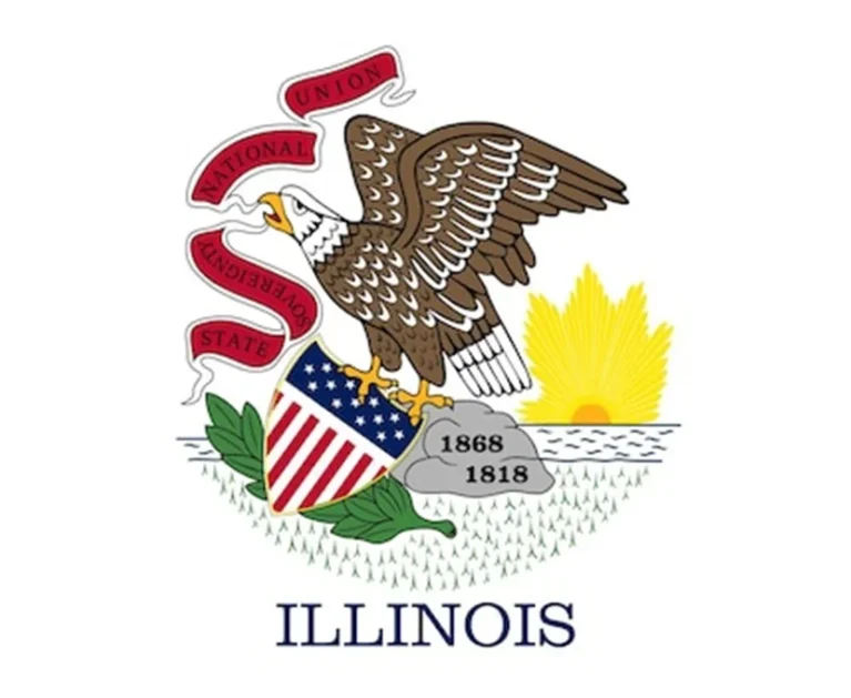 Medical Billing in Illinois