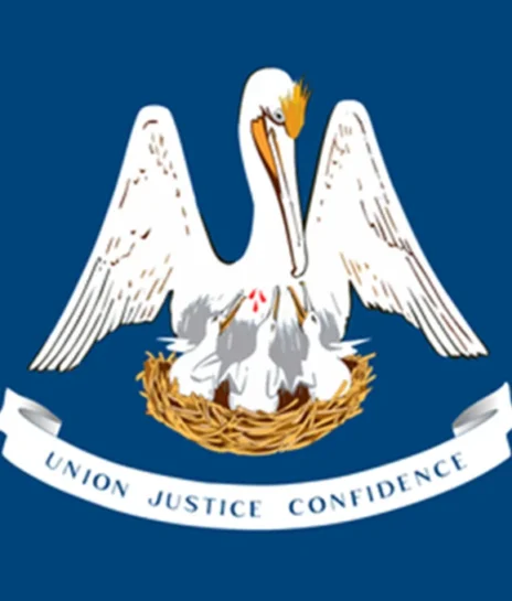 Medical Billing in Louisiana