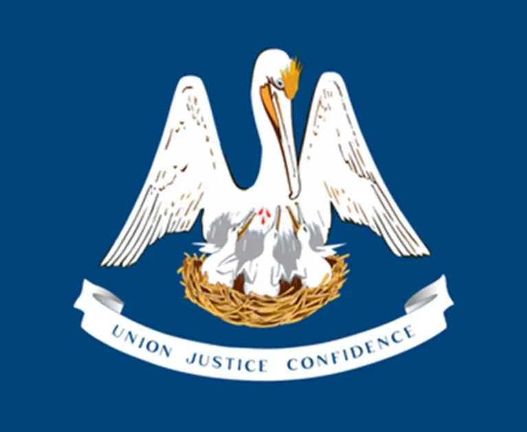 Medical Billing in Louisiana