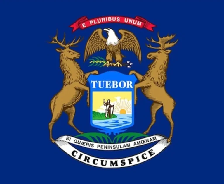Medical Billing in Michigan