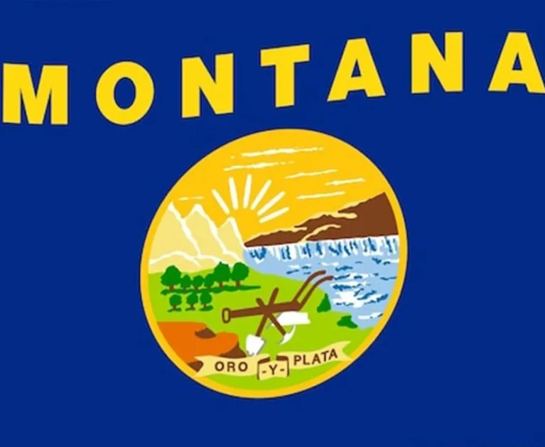 Medical Billing in Montana
