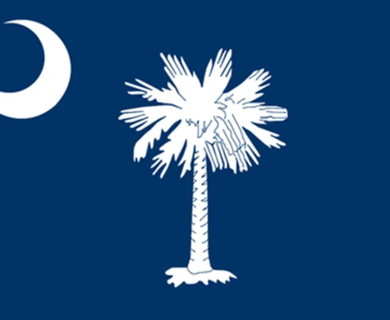 Medical Billing in South-Carolina