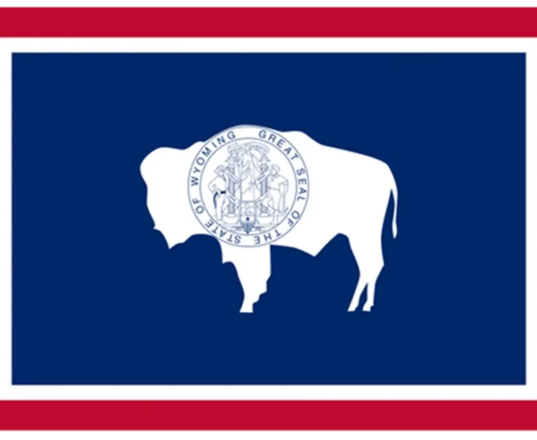 Medical Billing in Wyoming